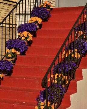 stairswflowers.jpg